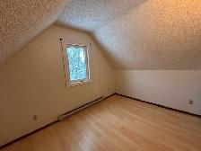 3Bed 1.5Bath House for Rent in St. James / King Edward Area - Photo 24