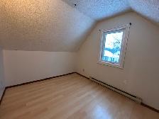 3Bed 1.5Bath House for Rent in St. James / King Edward Area - Photo 25