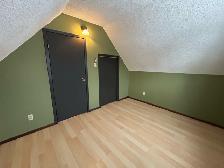 3Bed 1.5Bath House for Rent in St. James / King Edward Area - Photo 28