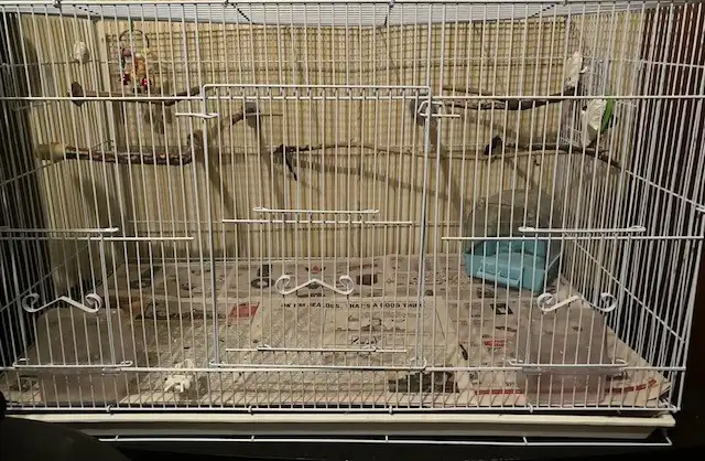 Bird Cage For Sale $35 FIRM