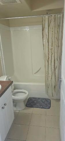 FULLY FURNISHED CONDO FOR RENT IN TIMBERLEA - Photo 9