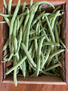 Green Bush Beans $1.50 per lb