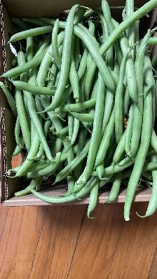 Green Bush Beans $1.50 per lb - Photo 2