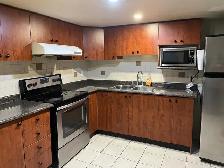 basement for rent