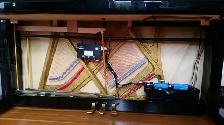 Votre piano, votre vie, votre musique, appeller 514-409-0788 - Photo 8