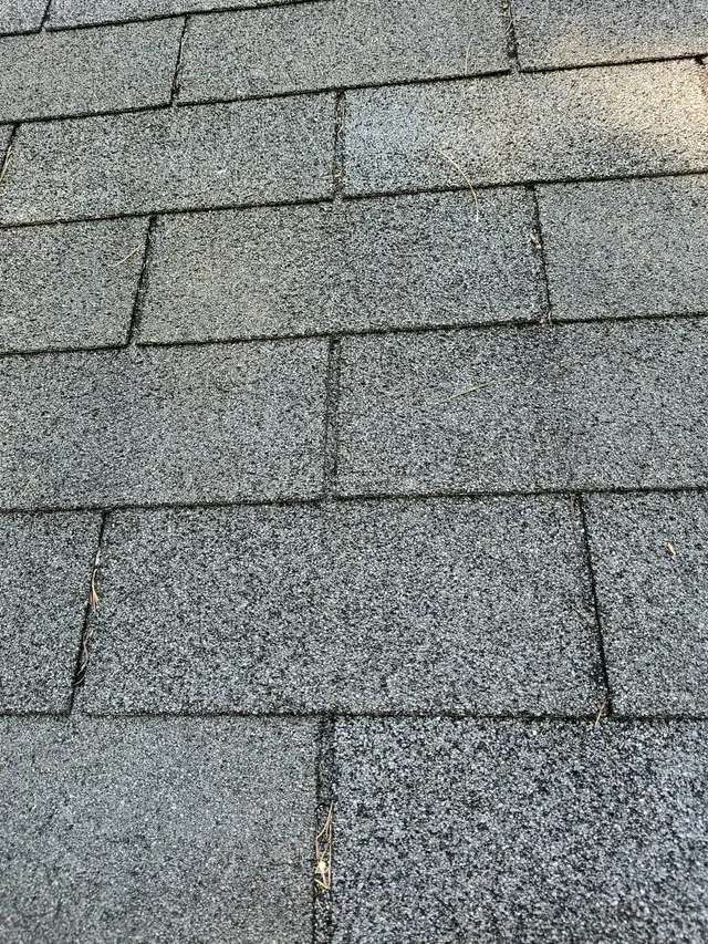 Wanted Shingles BP Yukon 2 tone black or Shadow Black, 7 bundles