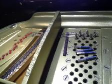 Your Piano, Your Life, Your Music, call 514-409-0788 - Photo 3