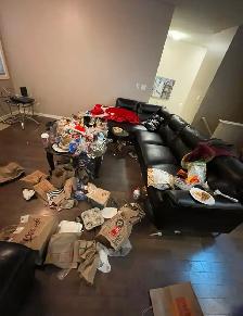 Eliza’s house cleaning service - Photo 3
