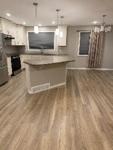 3 bedroom house -Main level - Photo 2