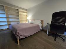 1 Bed Apt for Hwy 404/401(Sheppard/Pharmacy/Finch) Aug