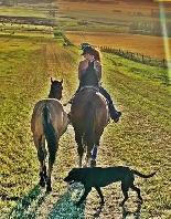 Super kind AQHA stallion. THIEVES AMONG US - Photo 7