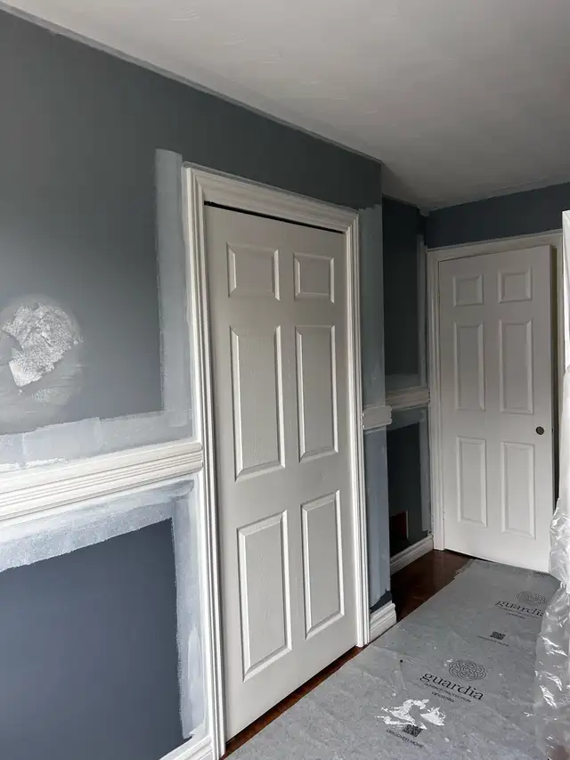 professional paint with 5years experience