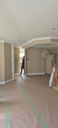 professional paint with 5years experience - Photo 3