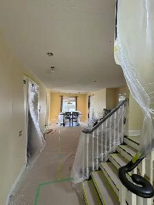 professional paint with 5years experience - Photo 4