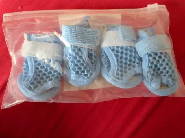 NIB Medium Cat sandals.  blue