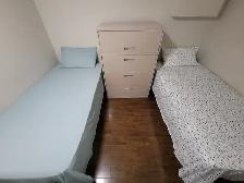 2 Bedroom Basement for Rent Near Humber College North Campus - Photo 4