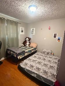 Room available for rent