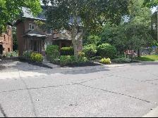 Lawn Maintenance Services