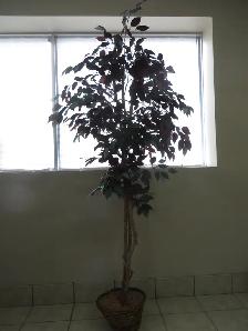 Artificial Plant