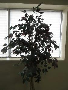 Artificial Plant - Photo 2