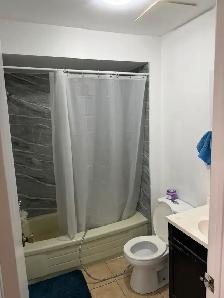 1 Bedroom basment from September 1 - Photo 4