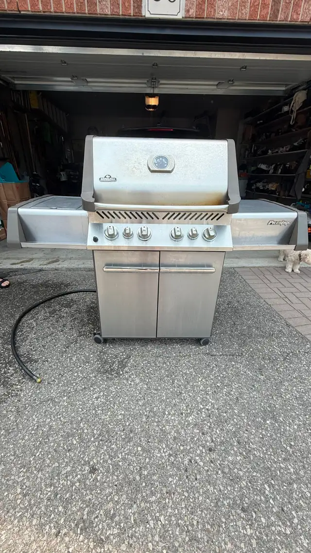 Napoleon Grill