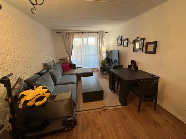 1 bed 1 bath appartment for rent