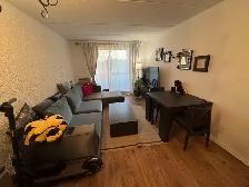 1 bed 1 bath appartment for rent