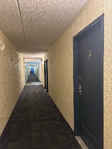 1 bed 1 bath appartment for rent - Photo 9