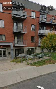 Logements disponibles 3,5 et 4,5 Coopérative Palais Darlington