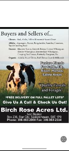 Alfalfa, Clovers, Forage seed