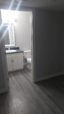 Aug.15th: Separate Entrance 1 BEDRM BASEMENT-EVERGREEN, SASKATON - Photo 9