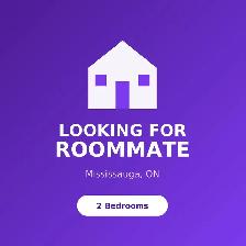 looking for roommate - mississauga