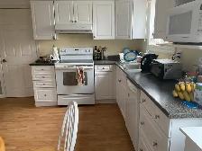 Female Tenants Only Room For Rent Newar Western Campus