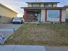 Room for rent in Calgary , $500 , Train, SAIT, Bow V , UOFC