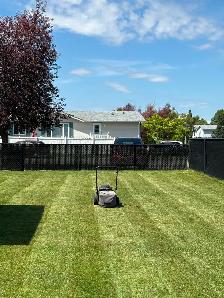 cheap lawn care services edmonton!