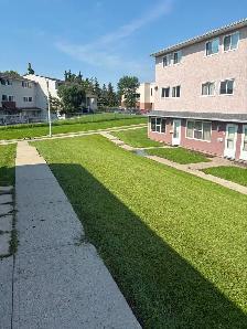 cheap lawn care services edmonton! - Photo 2