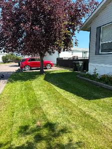 cheap lawn care services edmonton! - Photo 3