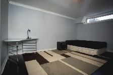 1 Large Basement Rooms - Blossom Park - Bank/Huntclub - Photo 7