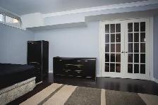 1 Large Basement Rooms - Blossom Park - Bank/Huntclub - Photo 8