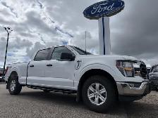 2023 Ford F-150 XLT / 5.0L V8! / 6.5FT BOX! / FORDPASS CONNECT!