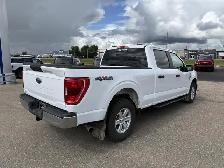 2023 Ford F-150 XLT / 5.0L V8! / 6.5FT BOX! / FORDPASS CONNECT! - Photo 3