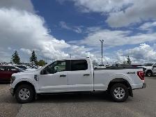 2023 Ford F-150 XLT / 5.0L V8! / 6.5FT BOX! / FORDPASS CONNECT! - Photo 5