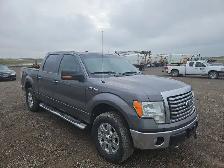 2010 Ford F-150 - Photo 2
