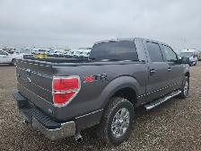 2010 Ford F-150 - Photo 4