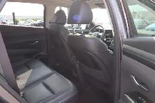2025 Hyundai Tucson Hybrid - Photo 24