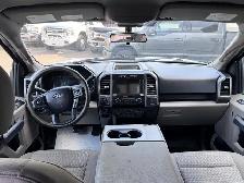 2019 Ford F-150 XL 4WD SuperCrew 5.5' Box - Photo 11