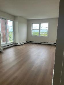 2 bedroom den & 2 bedroom available for Sept. 1st - Photo 2
