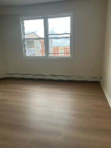 2 bedroom den & 2 bedroom available for Sept. 1st - Photo 9
