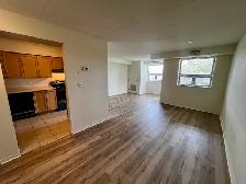 Park East - 1160 Lauzon Rd - Large Updated Two Bedroom - Photo 3